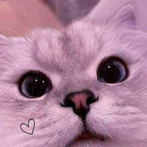 Alasta D'realist profile icon