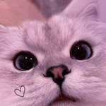 Alasta D'realist profile icon