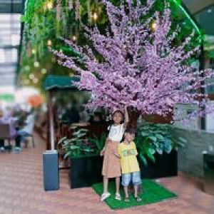 Mam Aqylla Arumen profile icon