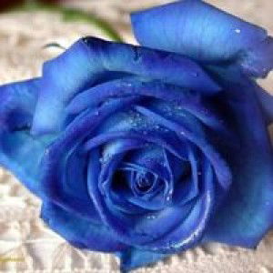 Devi Kawairashii profile icon