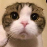 Mairah Mai profile icon