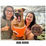 Darin Entersoul Phorpluk profile icon