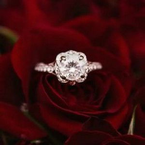 SYALALA waa profile icon