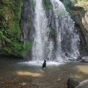 Nurul Moe profile icon