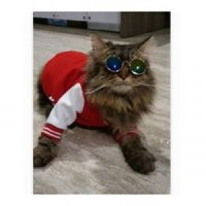 Ainun Lutfi profile icon