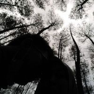 Indah Agustin profile icon