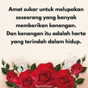 nurhusnaliyana afiqah profile icon