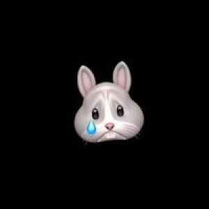 Kanchanok Pum profile icon