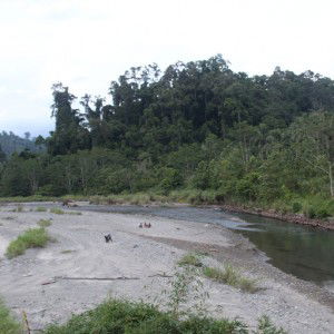 yahya lesnussa profile icon