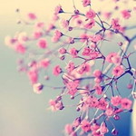 Farhah Norain profile icon