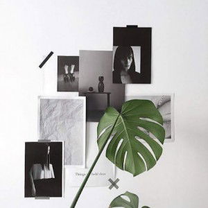 ศรัณยา แป้นชาตรี profile icon