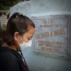 Ludy シ profile icon