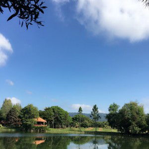 wanida kwanthong profile icon