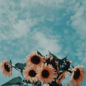 Lufvy Kartikasari profile icon