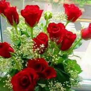 Surya Eka Wijaya profile icon