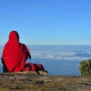 Nadia Afifah Arman profile icon