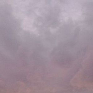 Maria Pangrib profile icon