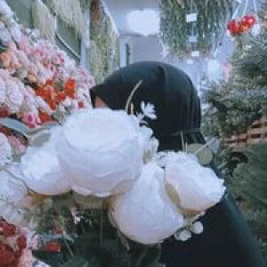 Rosalia Rosalia profile icon