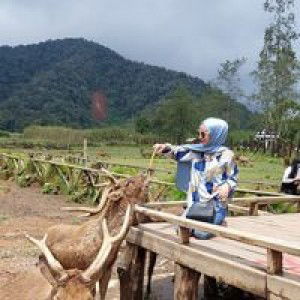 Verawati profile icon