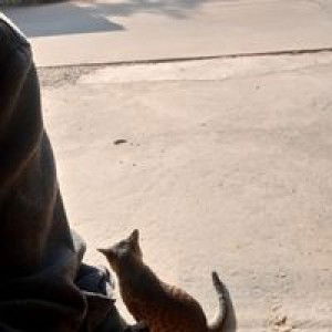 น้องของ พี่แสบ profile icon