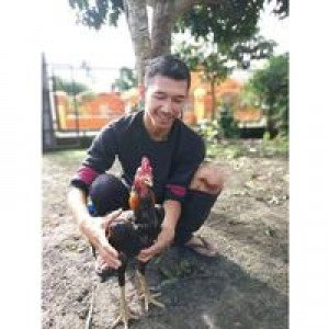 Agung Nugraha profile icon