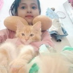 Bunga Teratai Bunga Teratay profile icon