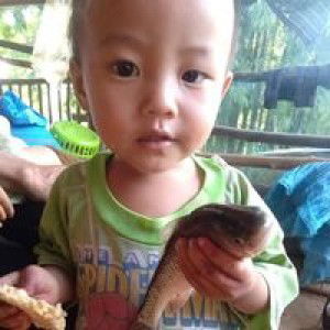 สี ดำ profile icon