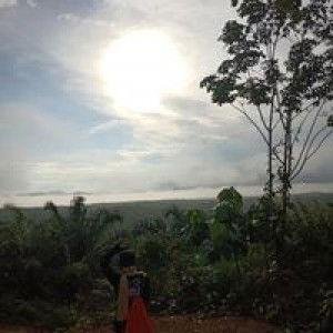 Zuliya Zulkifli profile icon