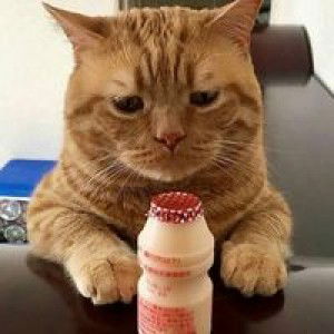 Windha Jieputri profile icon