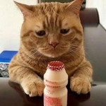 Windha Jieputri profile icon