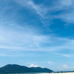 Arisa Arfan profile icon