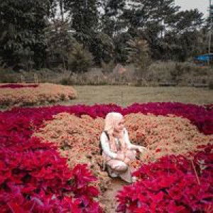 Vio Viola profile icon