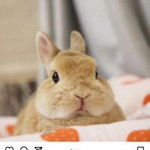 Bood Jojo'z profile icon