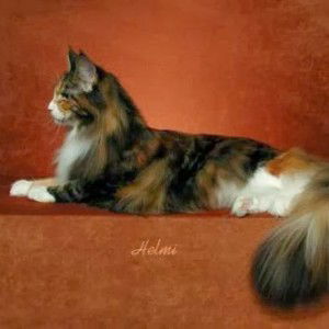 nongnapat s profile icon