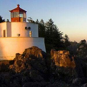 Shida Herman profile icon