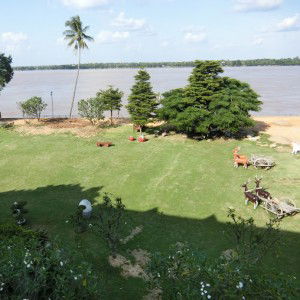 Lili BP profile icon