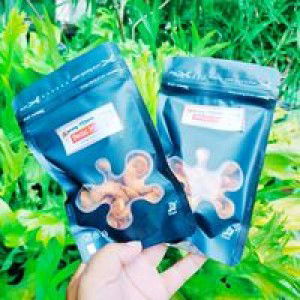 Rachma Nisa Raisa profile icon