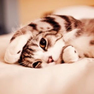 irma juanita profile icon