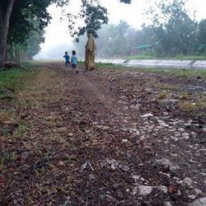 Yuliana profile icon