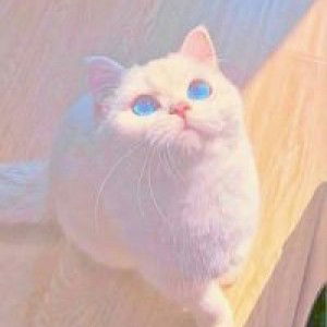 อิลยานี อาลี profile icon