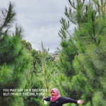 Catatan Lindaa profile icon