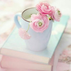 Anaphalis Javanica profile icon