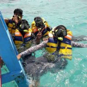 Kiky Angelina Irma Pratiwi profile icon