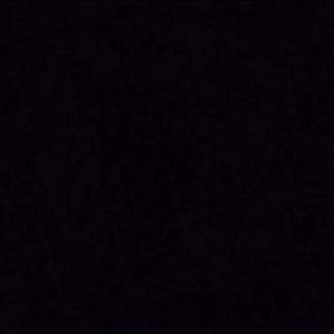 Nattita Wongsombut profile icon