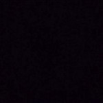 Nattita Wongsombut profile icon