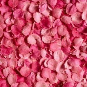 Nur Natasya profile icon