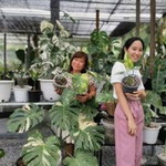 Tanaporn Jaroen profile icon