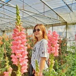 Marricar Delos Santos profile icon