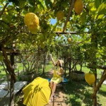 Sp Phonney profile icon