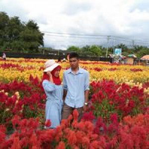 Intan Rr profile icon